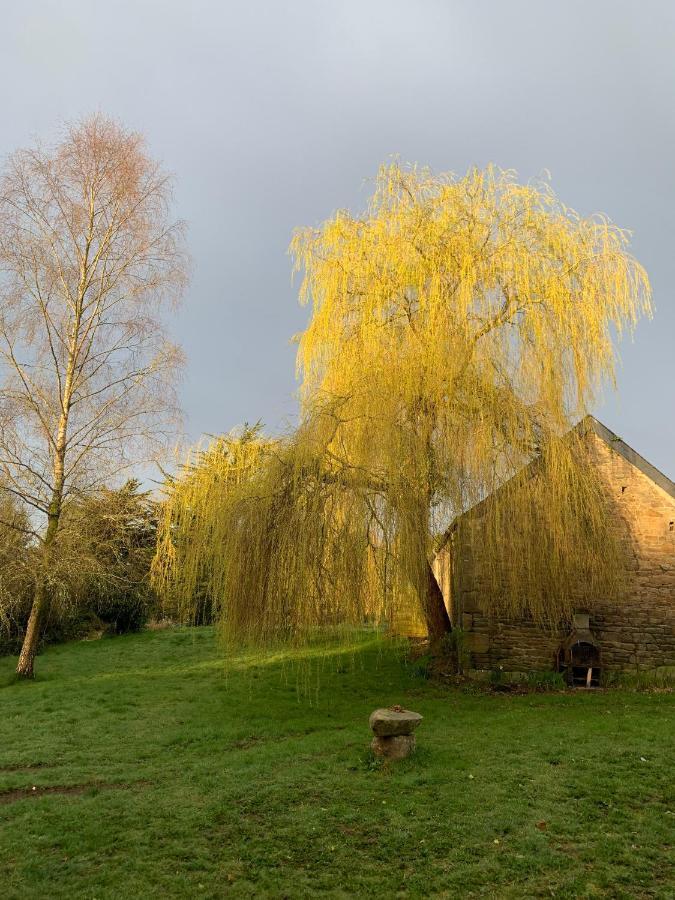 Domaine De La Blanche Hermine Plounerin Exterior foto